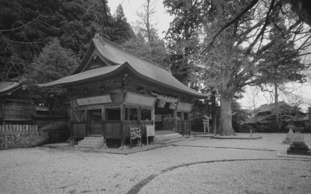 モノクロの作例：寺と銀杏