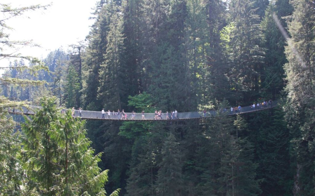 Capilano Suspension Bridge Park