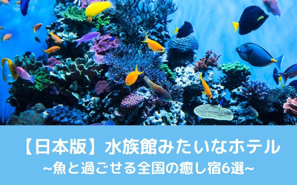 【日本版】水族館みたいなホテル|魚と過ごせる全国の癒し宿6選