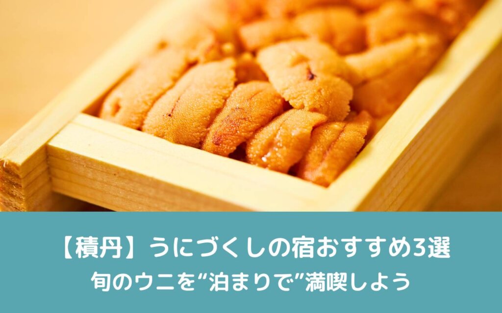 【積丹】うにづくしの宿おすすめ3選|旬のウニを“泊まりで”満喫しよう