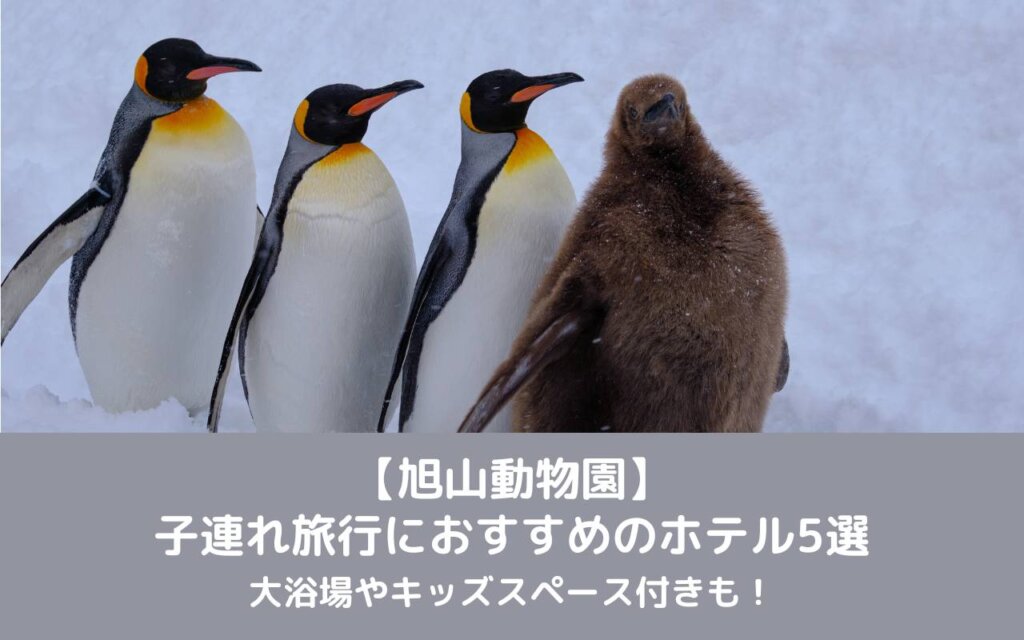 【旭山動物園】子連れ旅行におすすめのホテル5選|大浴場やキッズスペース付きも!
